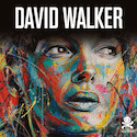 David Walker: Beautiful Chaos